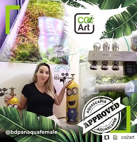 Publicação no Instagram por @bdpanaquafemale
