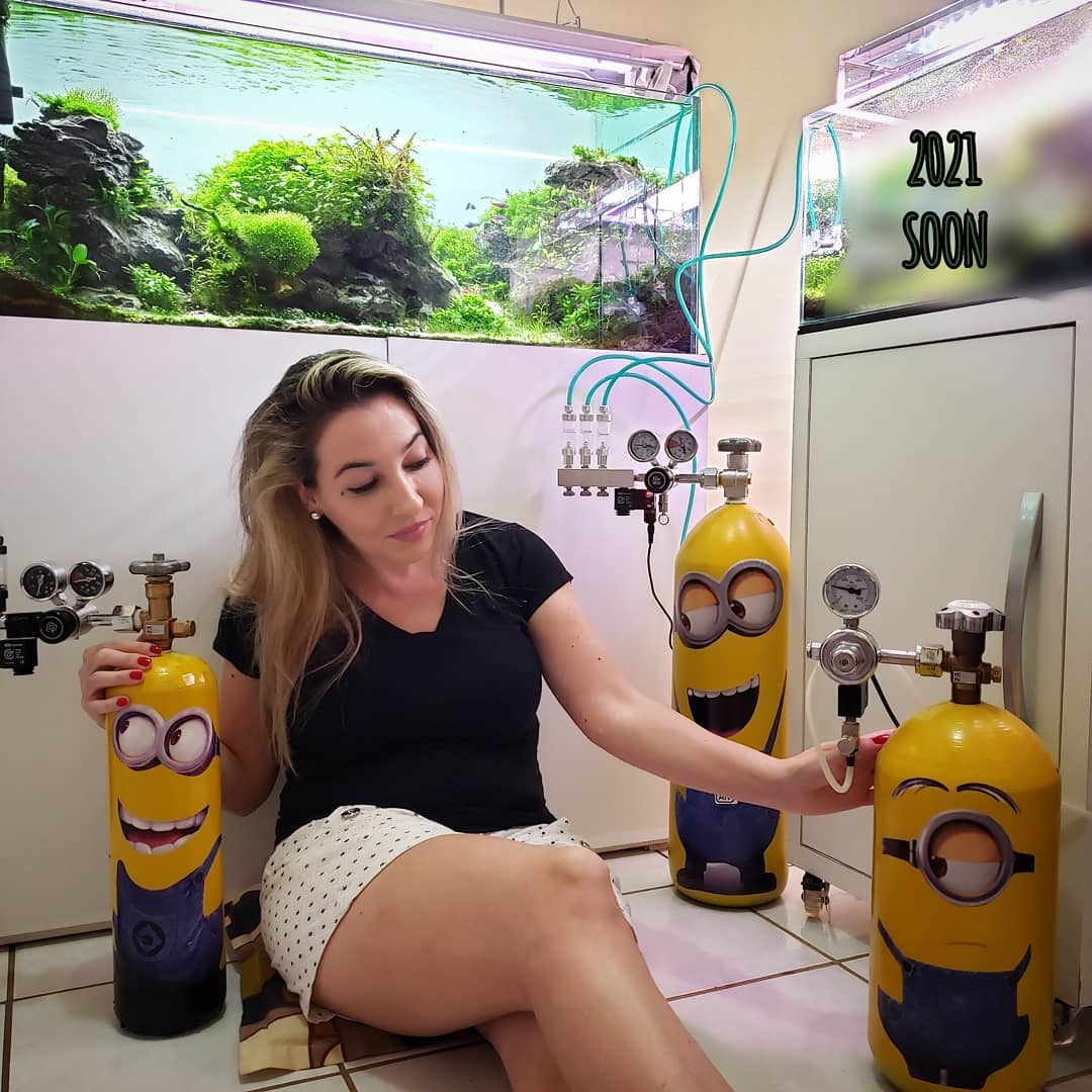 Publicação no Instagram por @bdpanaquafemale