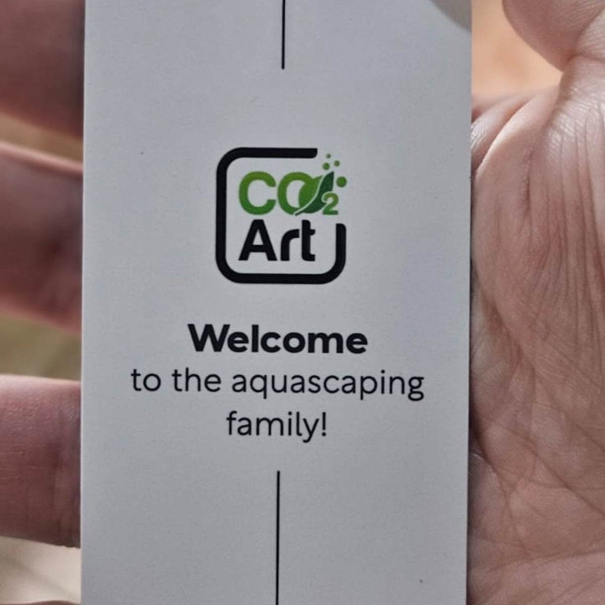 Publicação no Instagram por @vale.aquascaper