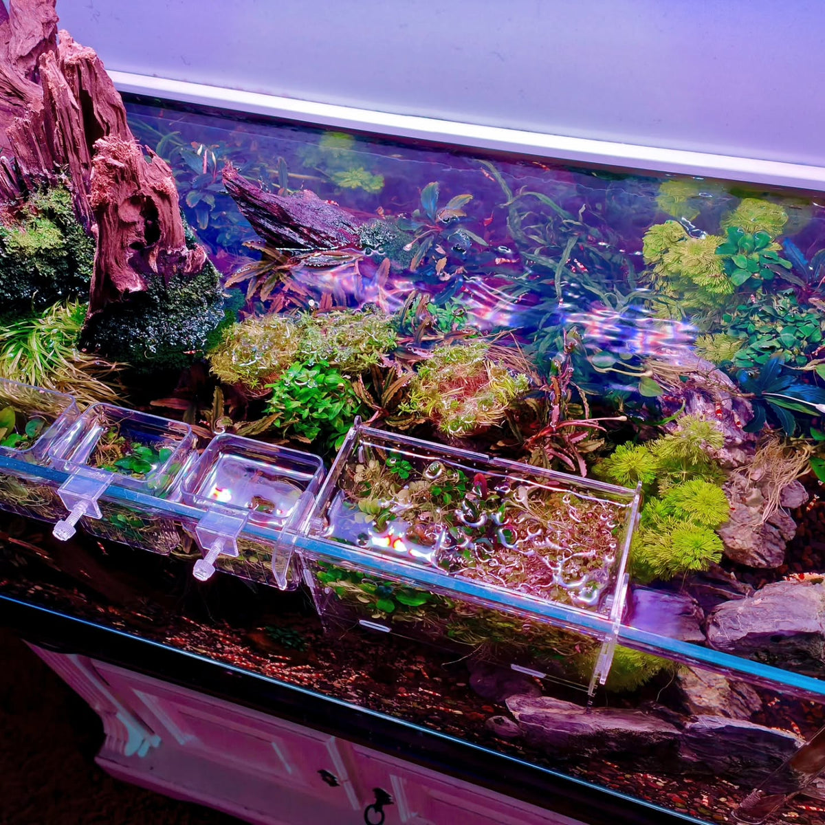 Publicação no Instagram por @aquascapebarendrecht