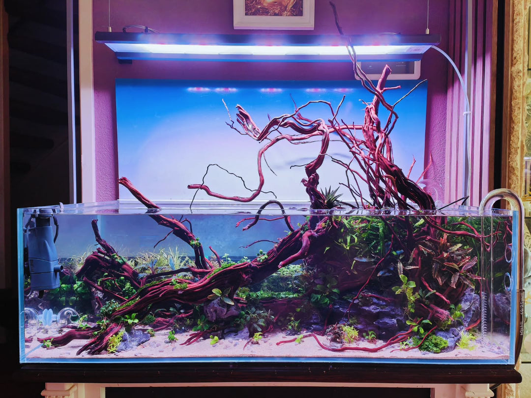 Publicação no Instagram por @aquascapebarendrecht