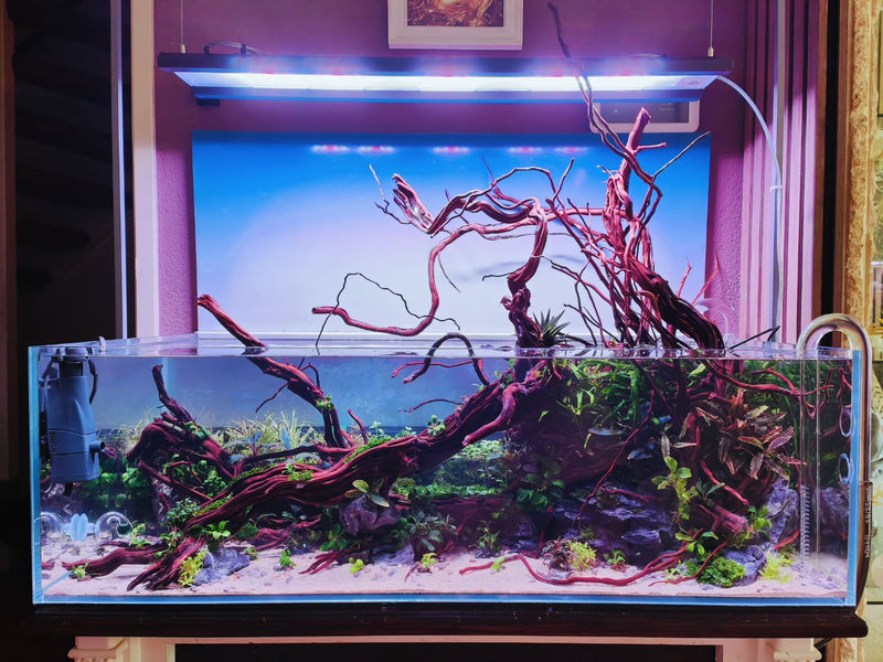 Publicação no Instagram por @aquascapebarendrecht