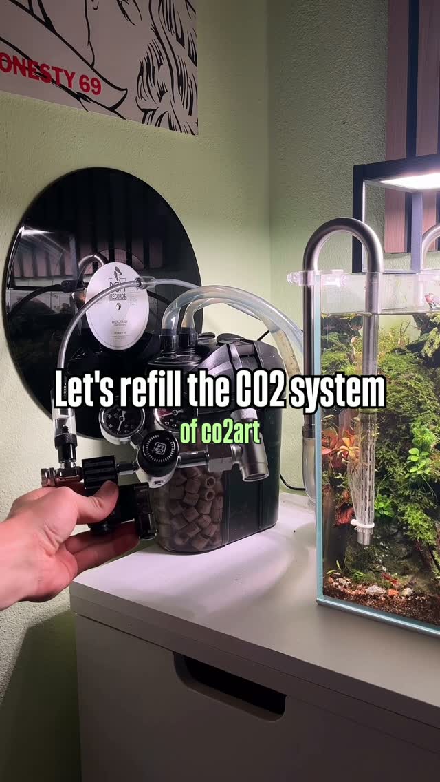 Publicação no Instagram por @jj.scaping.a