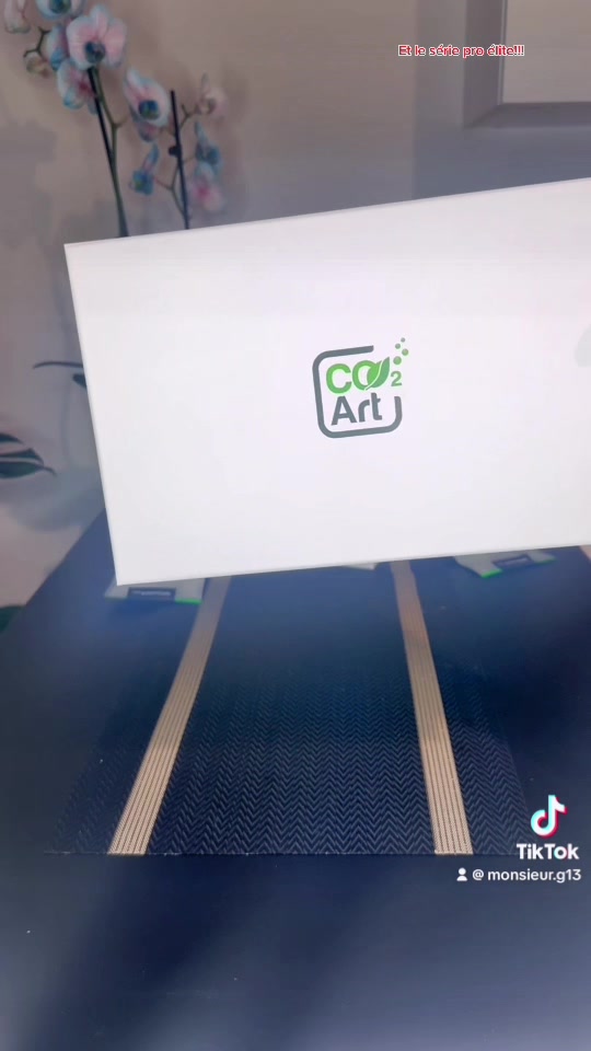 Vídeo no TikTok por @aquascaping.passion