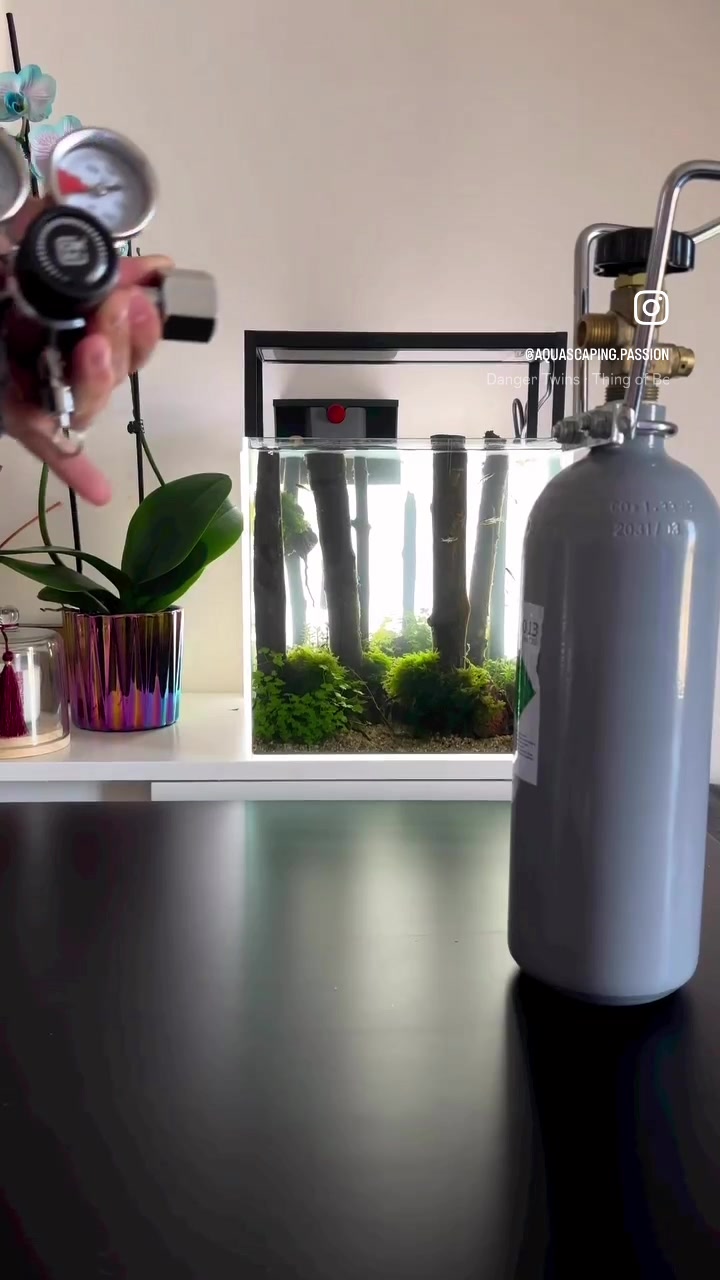 Vídeo no TikTok por @aquascaping.passion